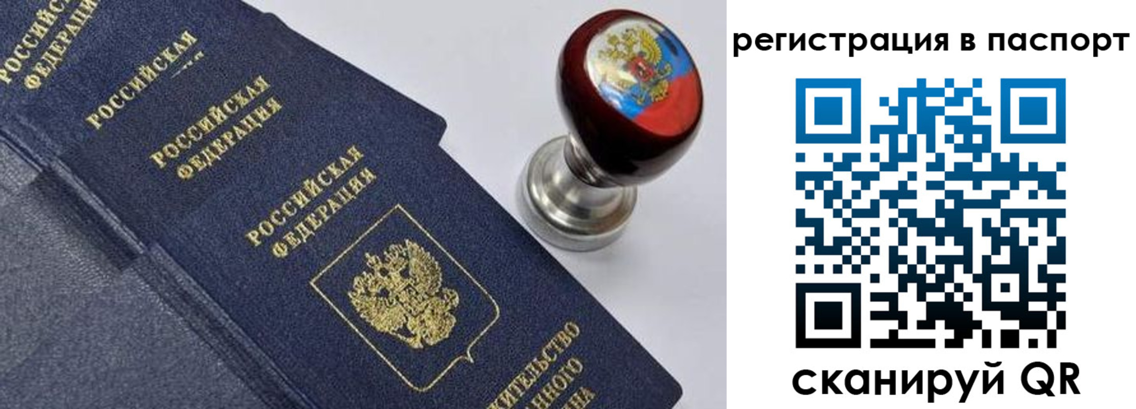 прописка поиск в Ненецком АО